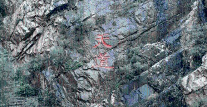 省公安厅部署春运道路交通管理工作